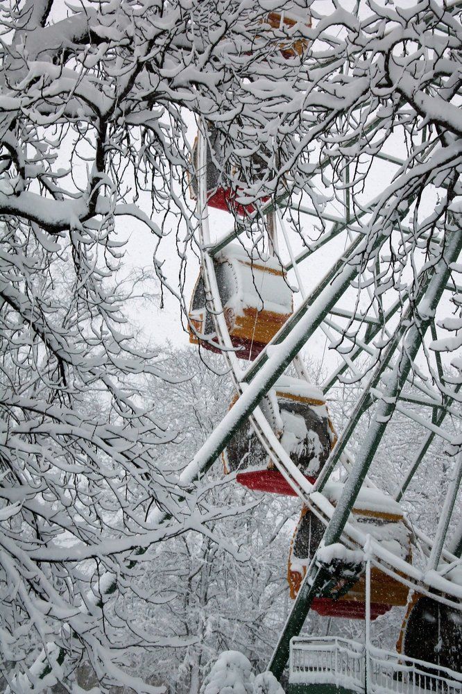 Photograph by Анастасия Бушуева