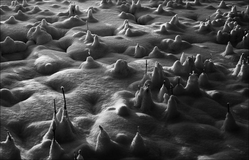 Заснеженные стога Лилипутии