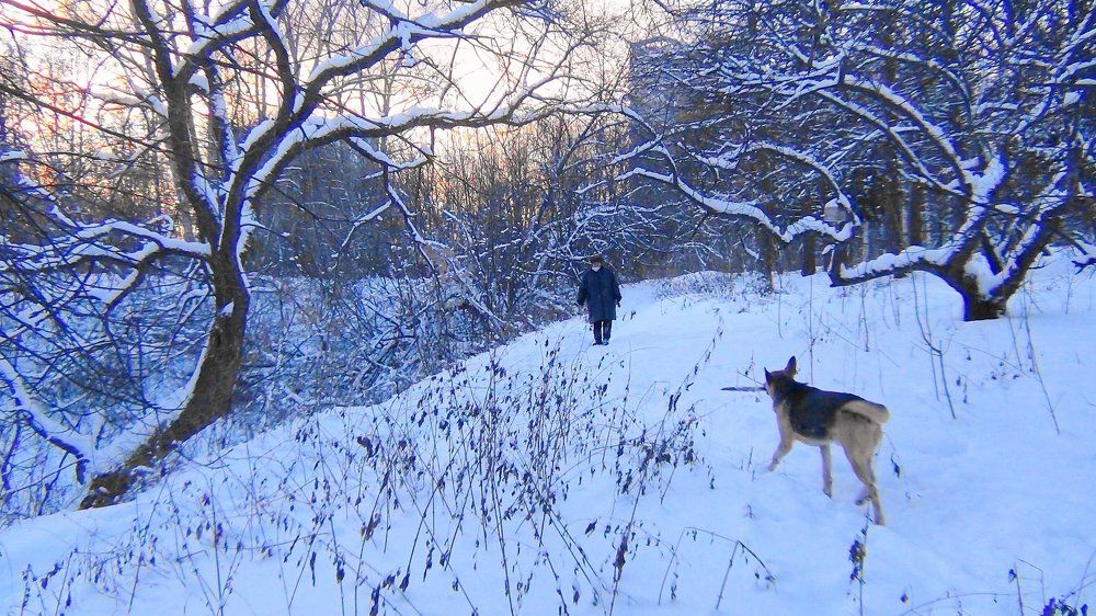 Ровесники сада (ностальгия)