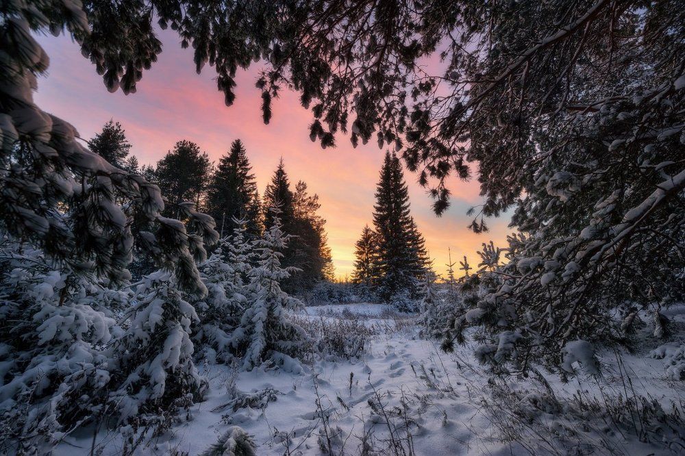 "На закате в ноябре"