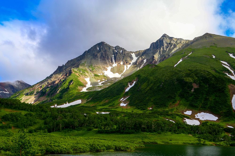 Солнечная поляна