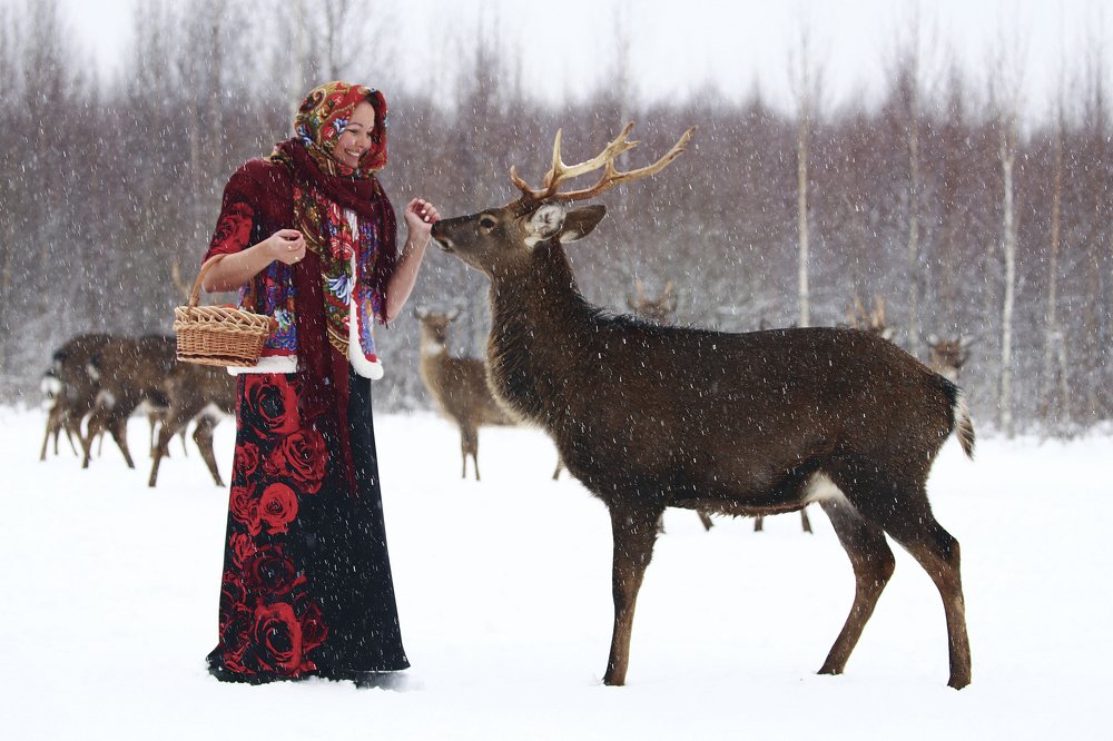 Зимняя сказка