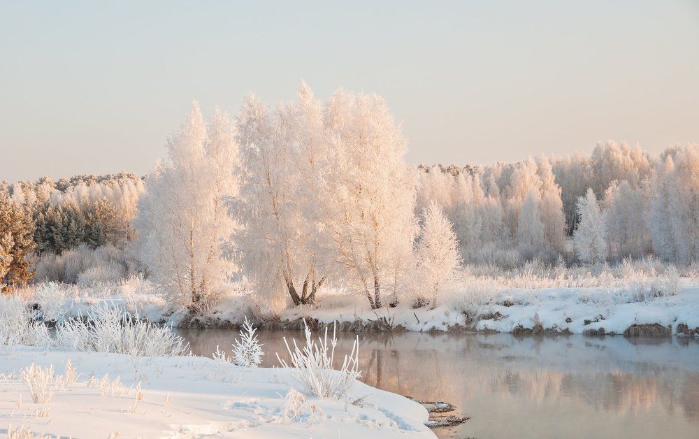 Краски зимнего леса.