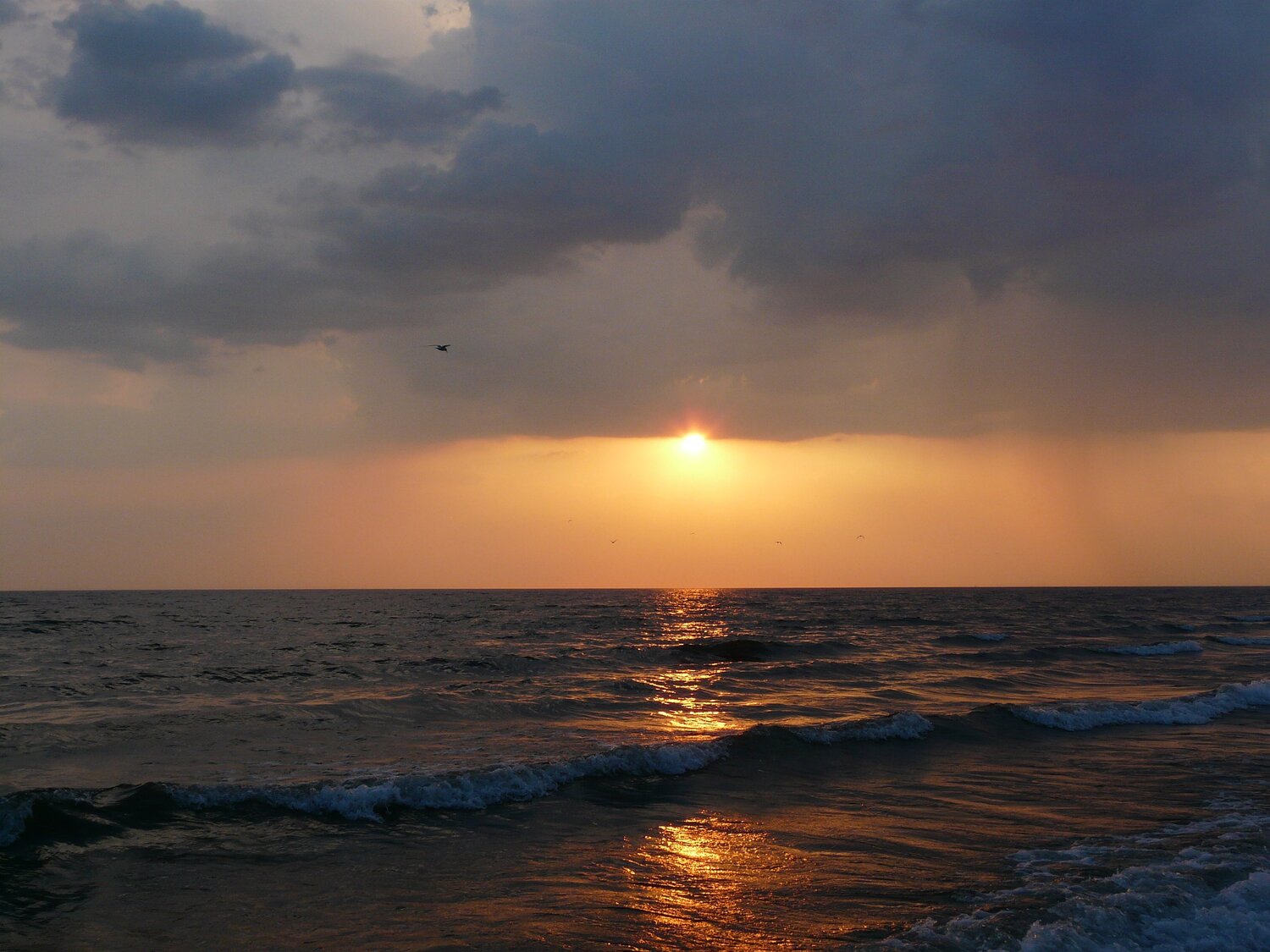Photo #1577274