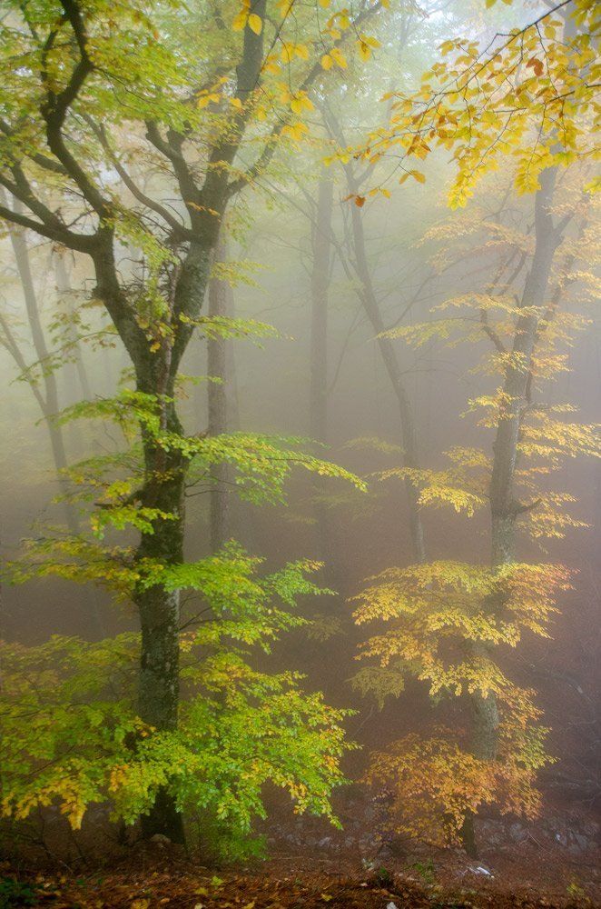 Осенний бал