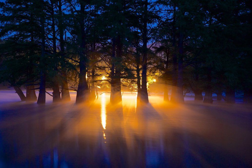 Сон исполинов