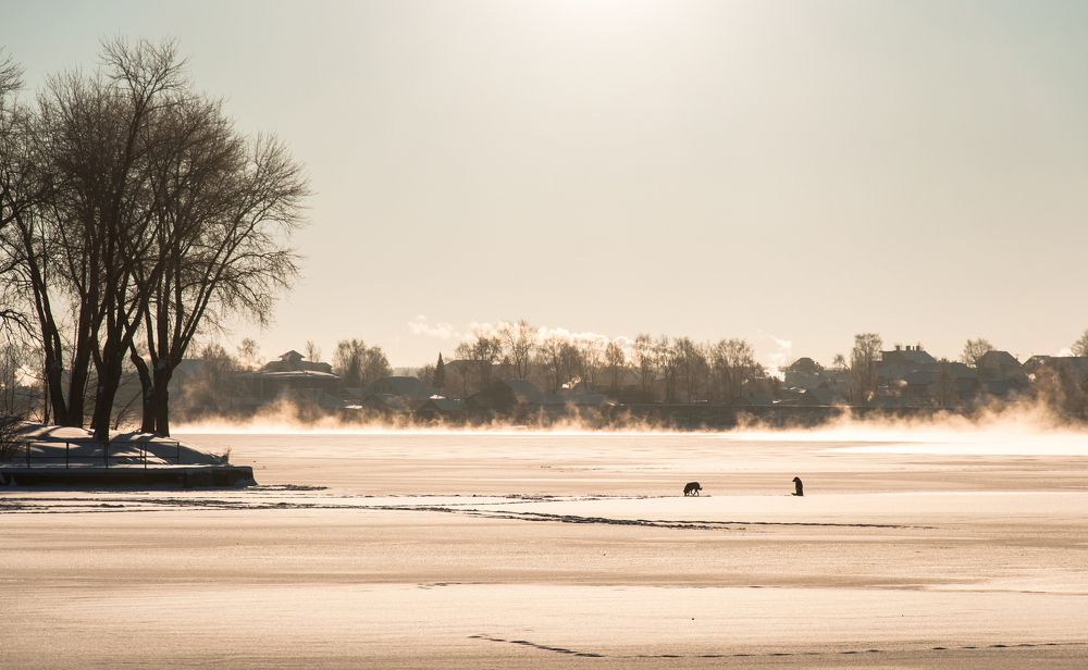 Морозное утро на городском пруду