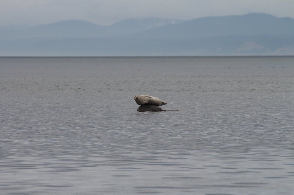 Отдыхающий