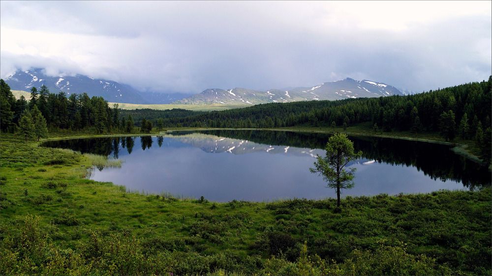 Первая встреча с Киделю...