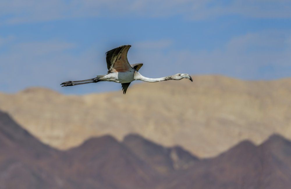 Полет идет нормально