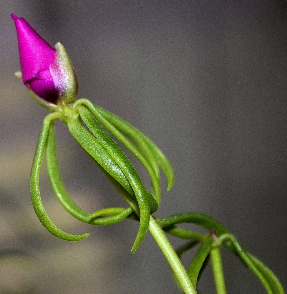 hope.................