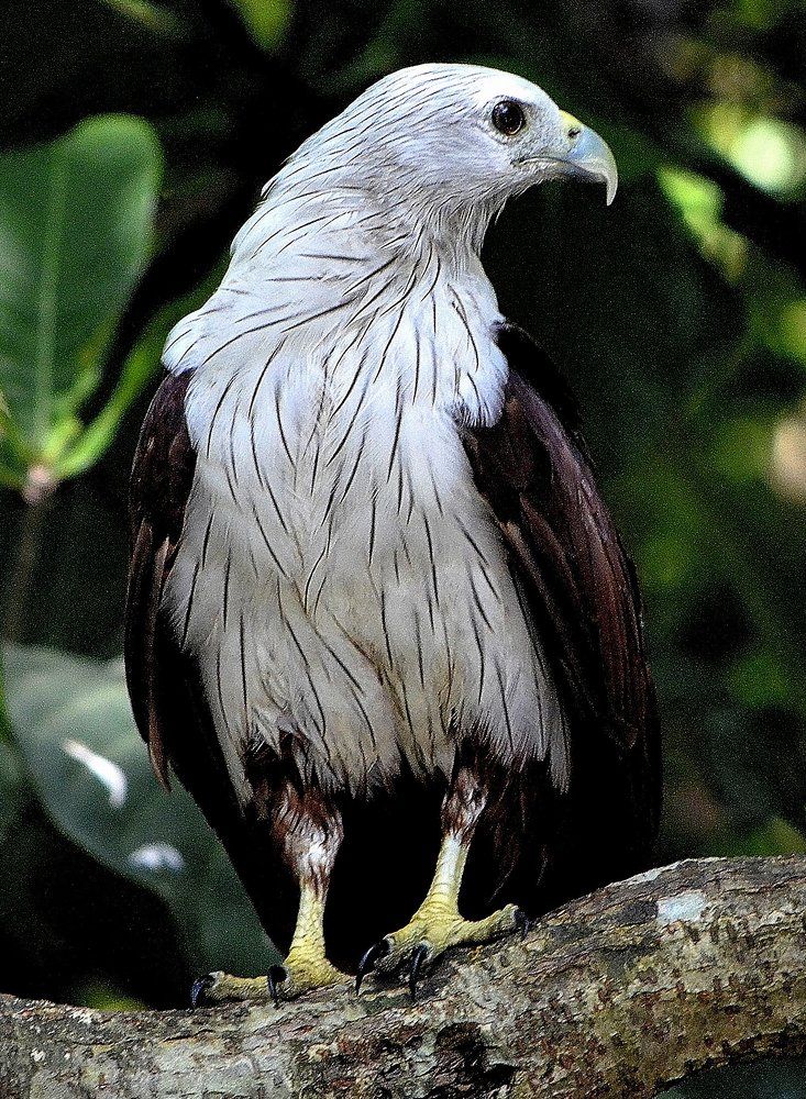 watching.................