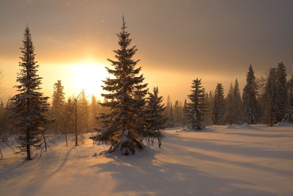 Солнце всходило чтобы согреть нашу кровь