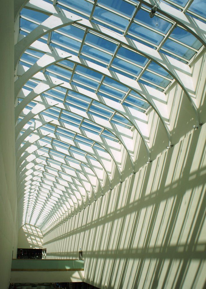 СВЕТ И ТЕНИ