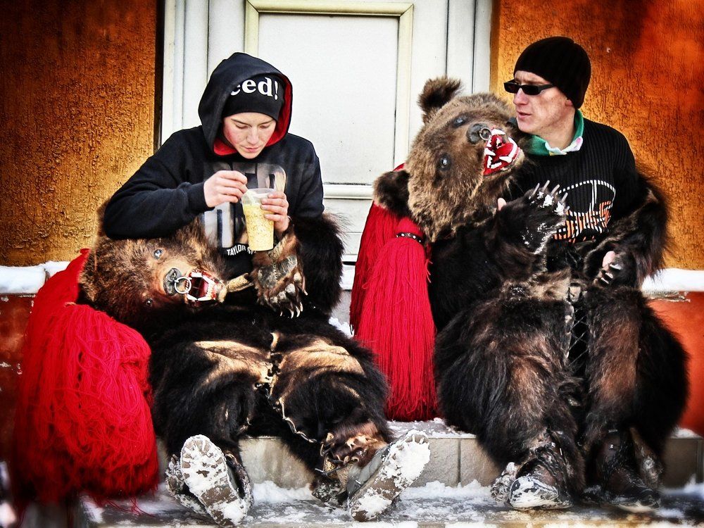 Bears having breakfast