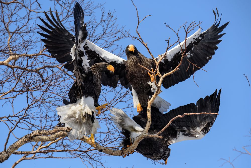 Подвиньтесь, пожалуйста.