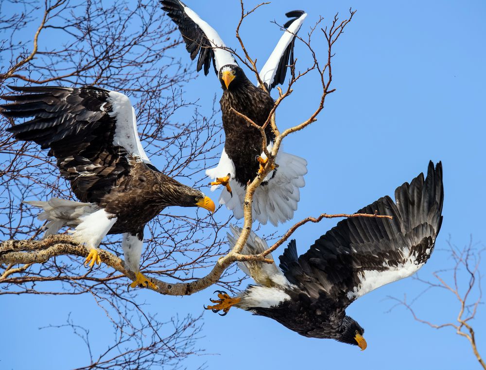 Девушка! Вы куда?