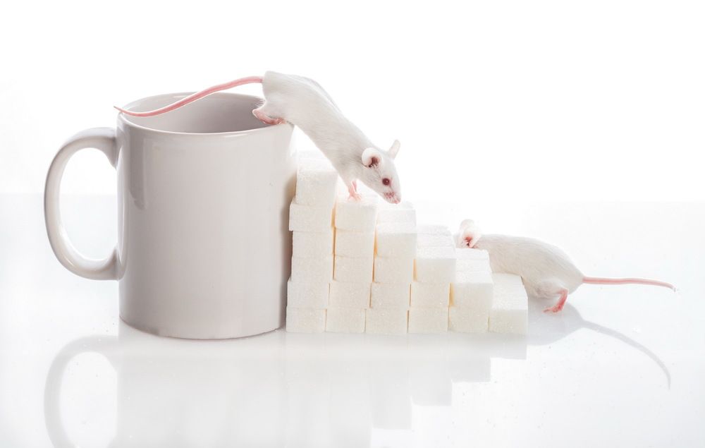 Белое на белом