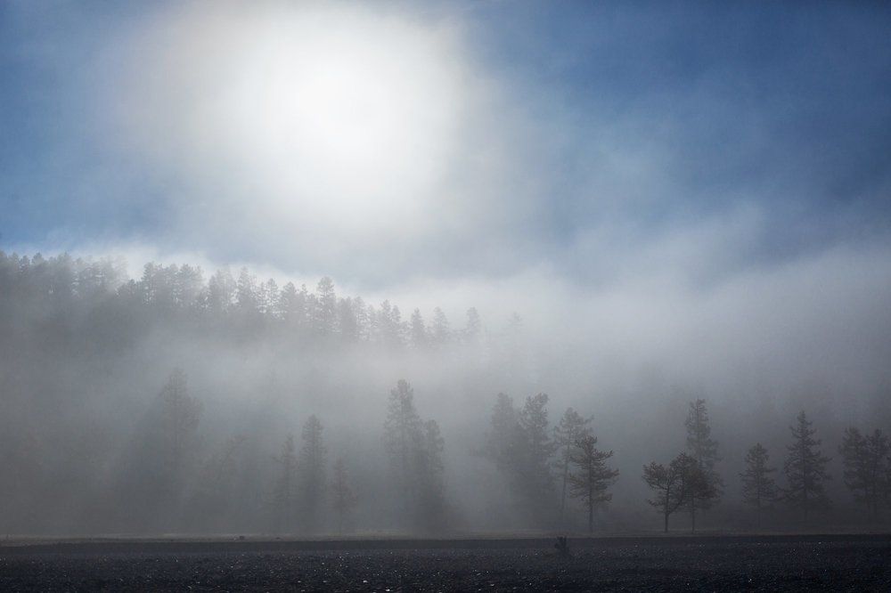 Осенний туман