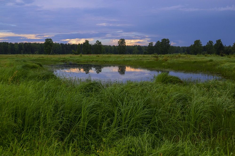 Игрушечное озеро