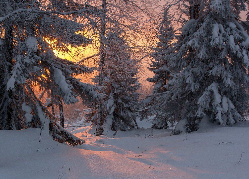 Пролился свет и тьма уходит