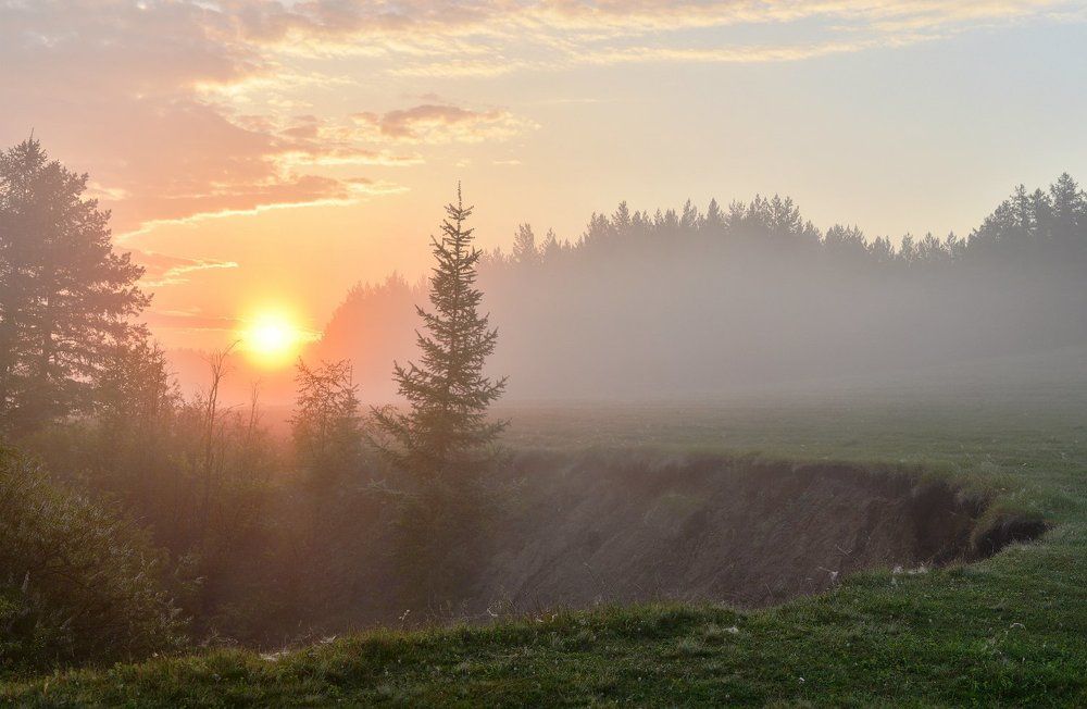 Рассвет у оврага