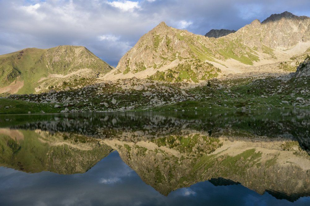 reflection