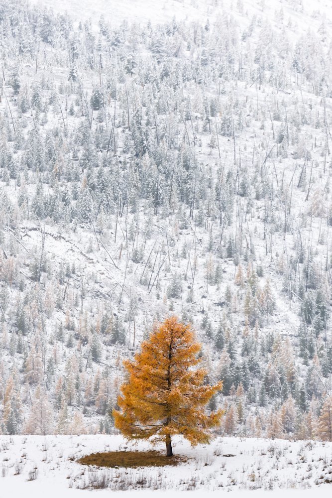 Одиночество осень ..