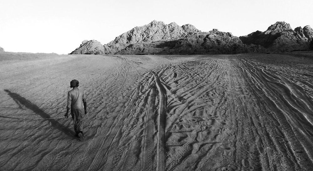 Photograph by Lulanian