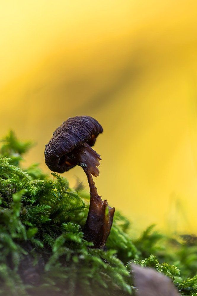 Жизненный надлом