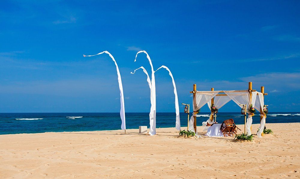 Свадебная вечеринка.