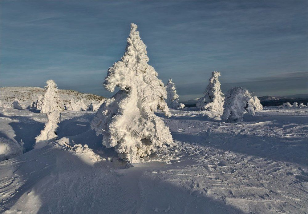 В царстве снежной Королевы