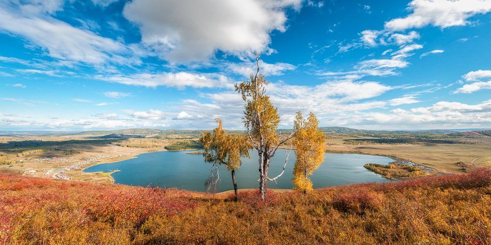 Три сестрицы