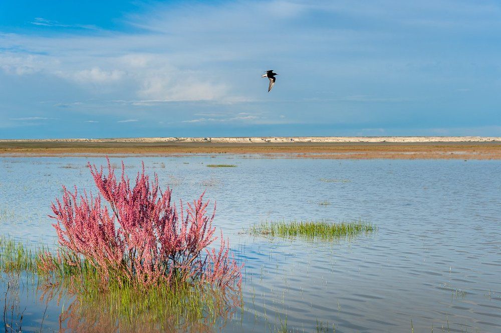 Пролетая над Аккергешеном