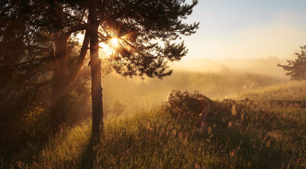 Рассвет на берегу