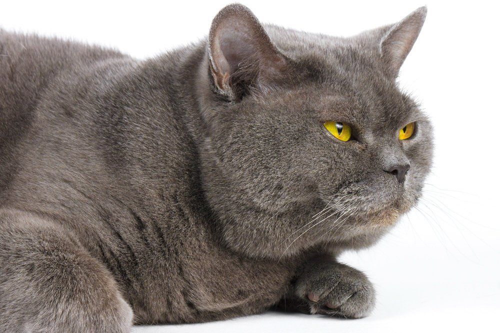 Да ладно? Ну ничего себе!!