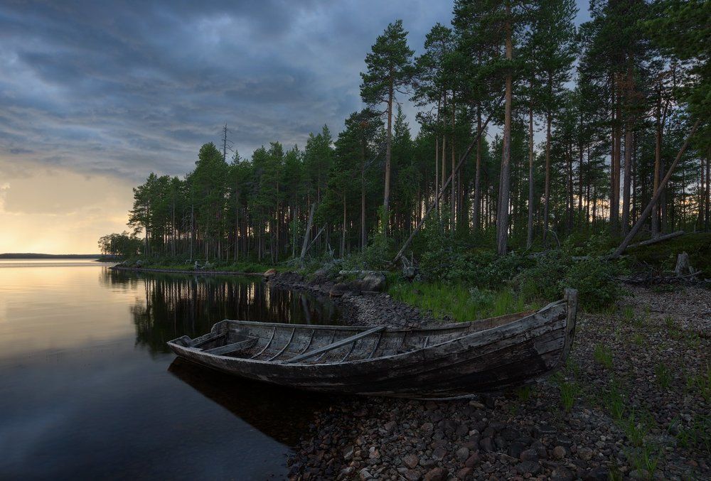 Перед ливнем!