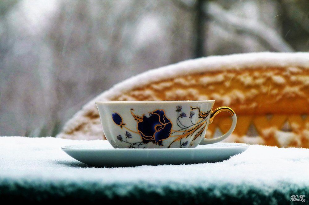 Photo #1580469