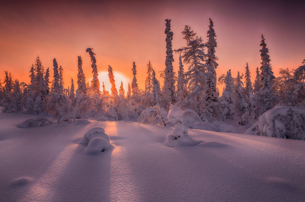 Последние лучи уходящего года