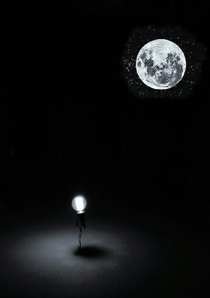 Moon flower