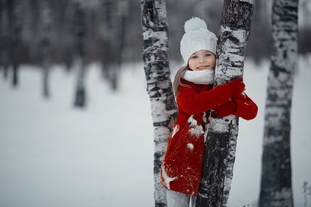 Берёзовый лес.