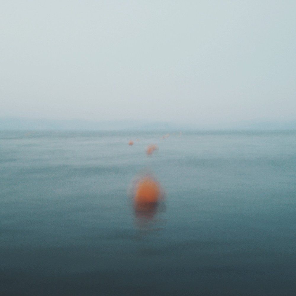 Photograph by Alexander Nikolov