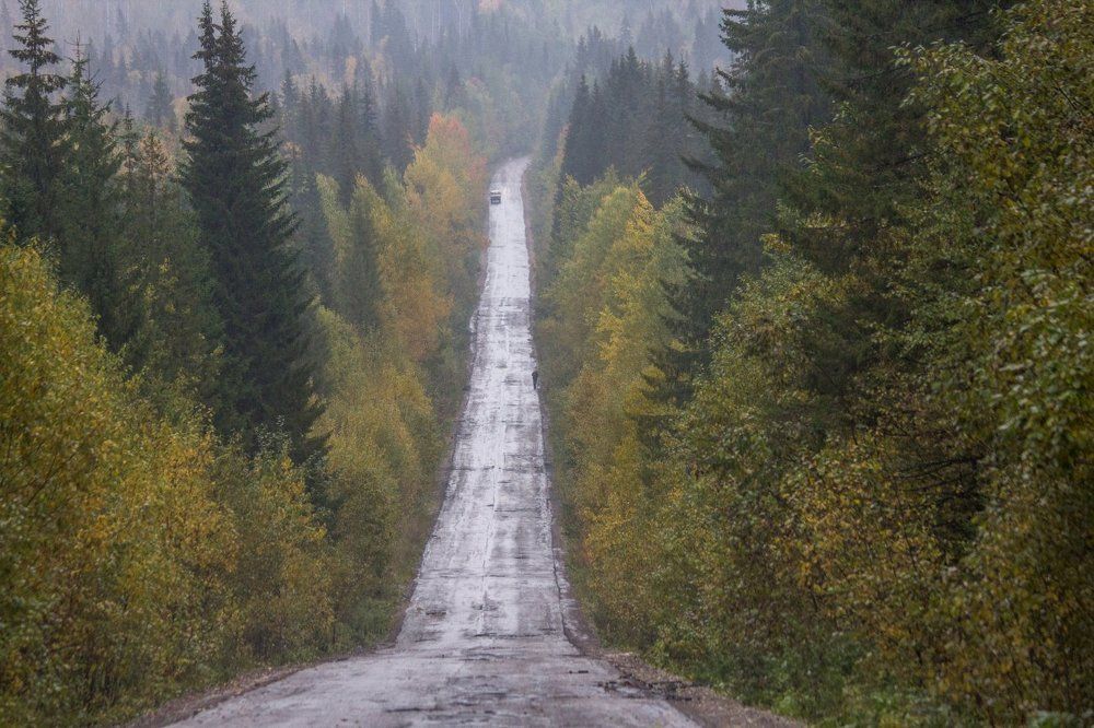 путь-дорожка