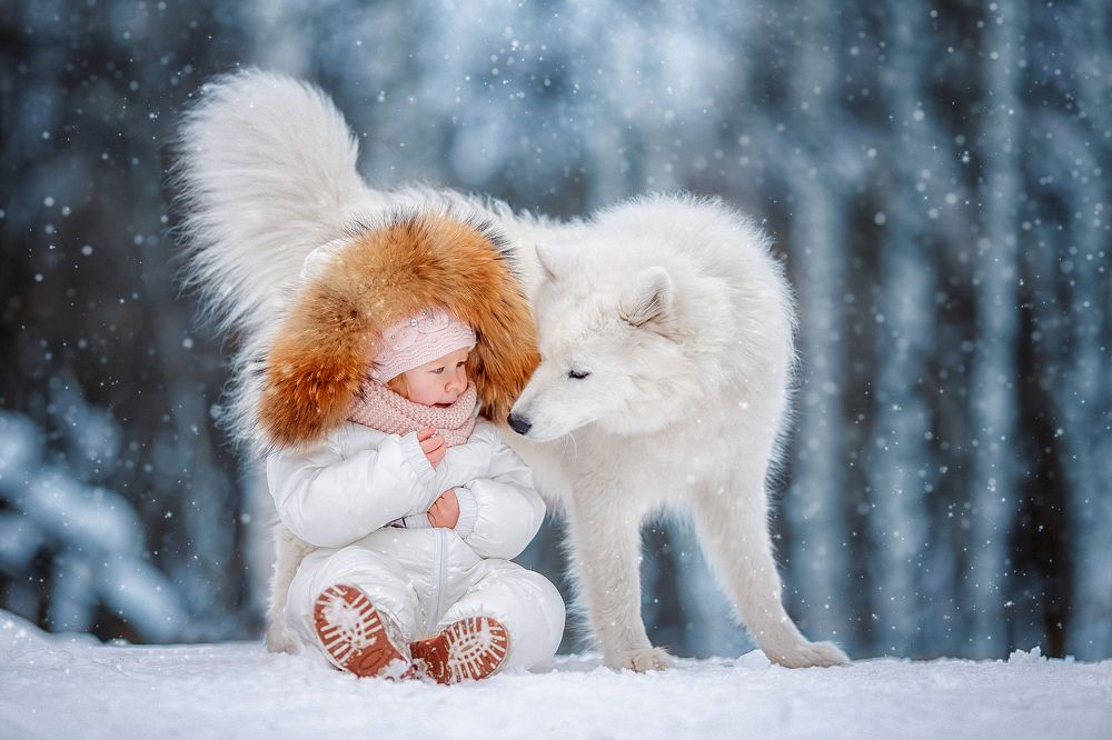 пушистый друг