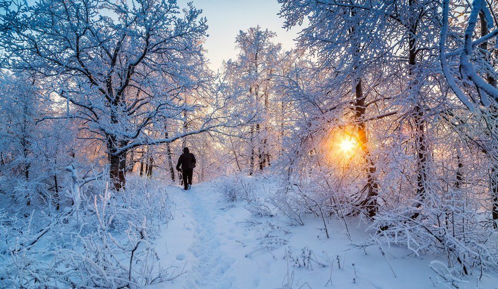 В поисках красоты..