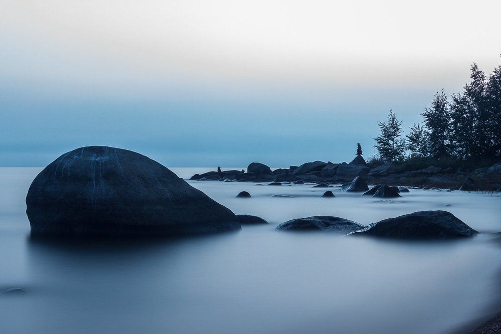 Каменный кит