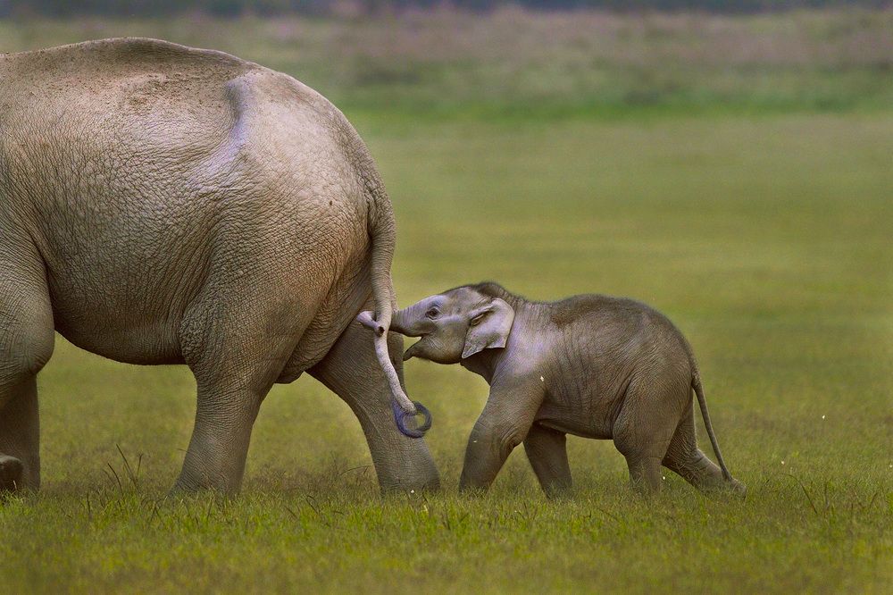 When hunger strikes.