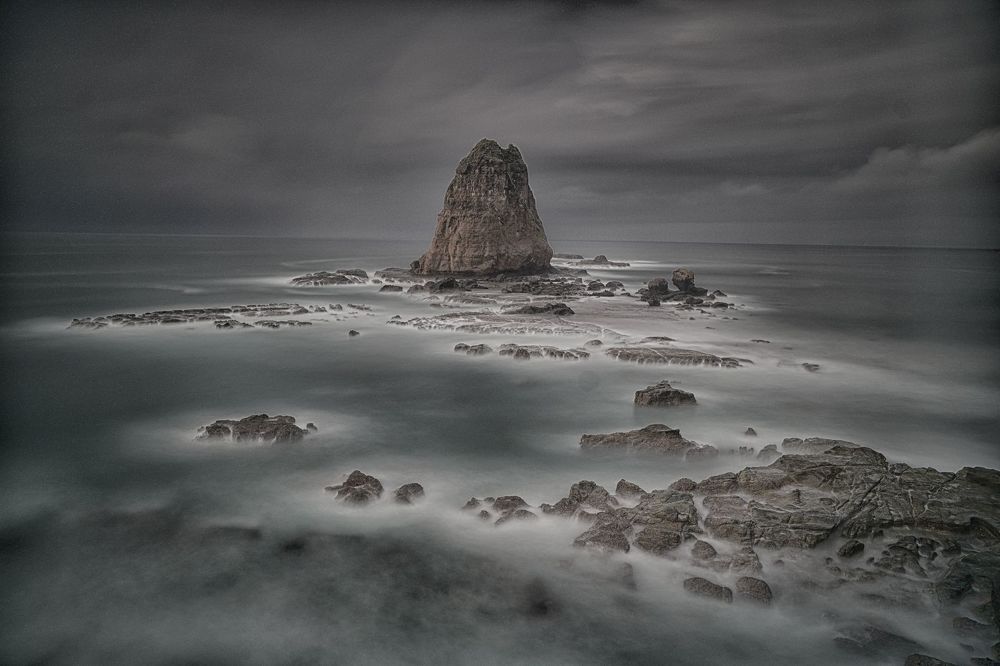 Papuma in the morning