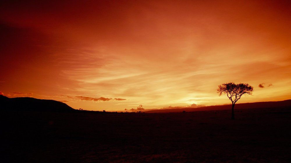 Пламя саванны