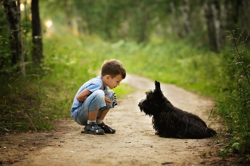 мой друг-скотч